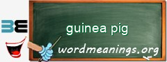 WordMeaning blackboard for guinea pig